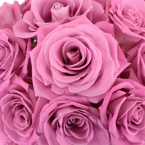 Bridal Pink Gem Rose