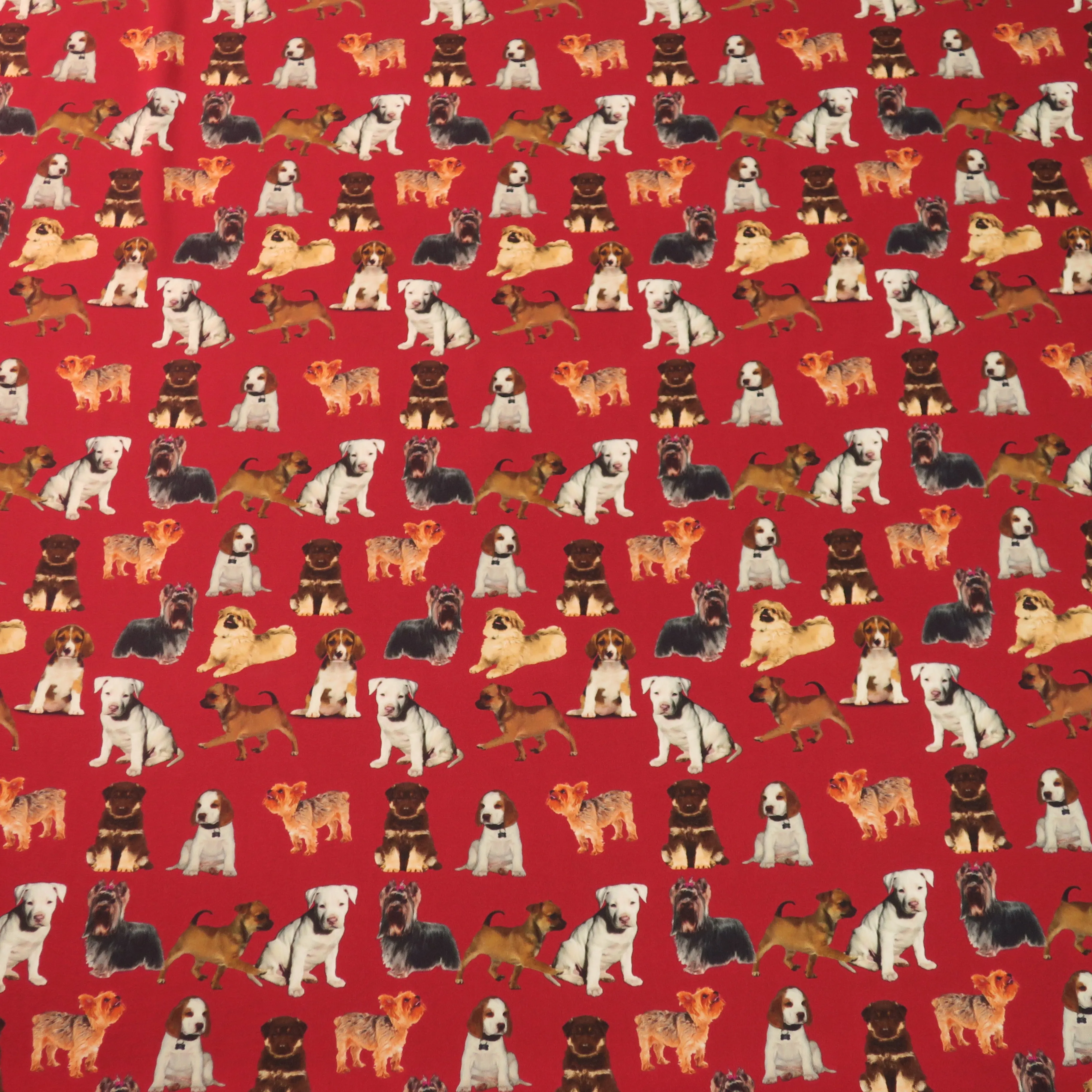 Dogs on Red Ground Printed Silk Charmeuse Fabric