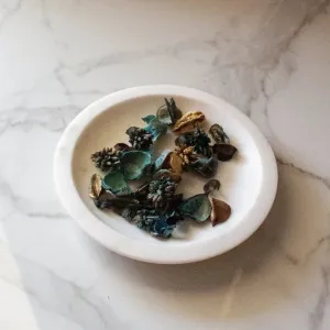 Mishmash Potpourri Plate | 6 inches