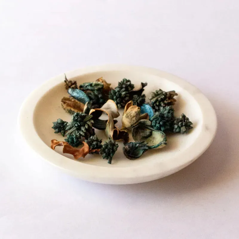 Mishmash Potpourri Plate | 6 inches