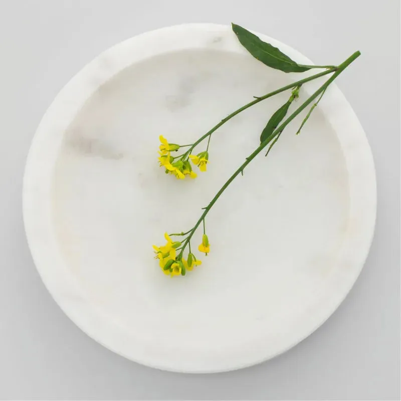 Mishmash Potpourri Plate | 6 inches