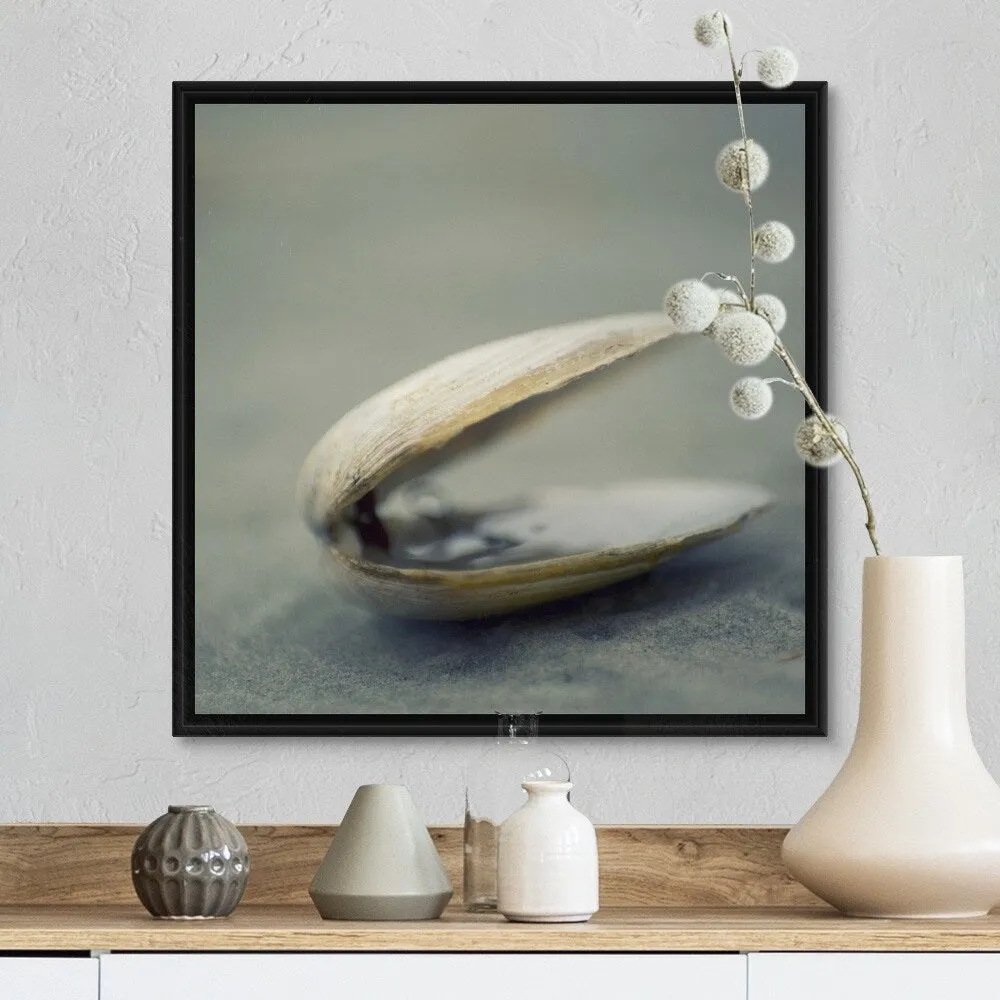 "Clam shell on beach." Black Float Frame Canvas Art