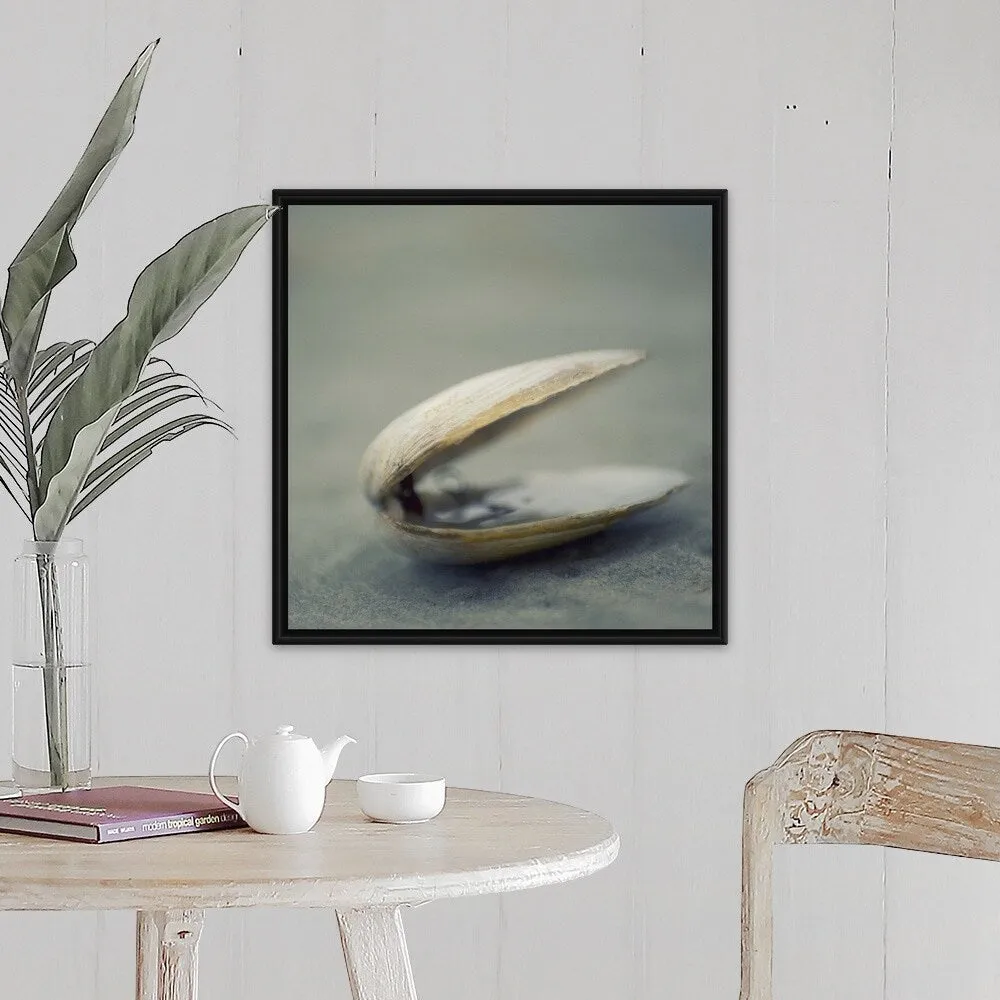 "Clam shell on beach." Black Float Frame Canvas Art