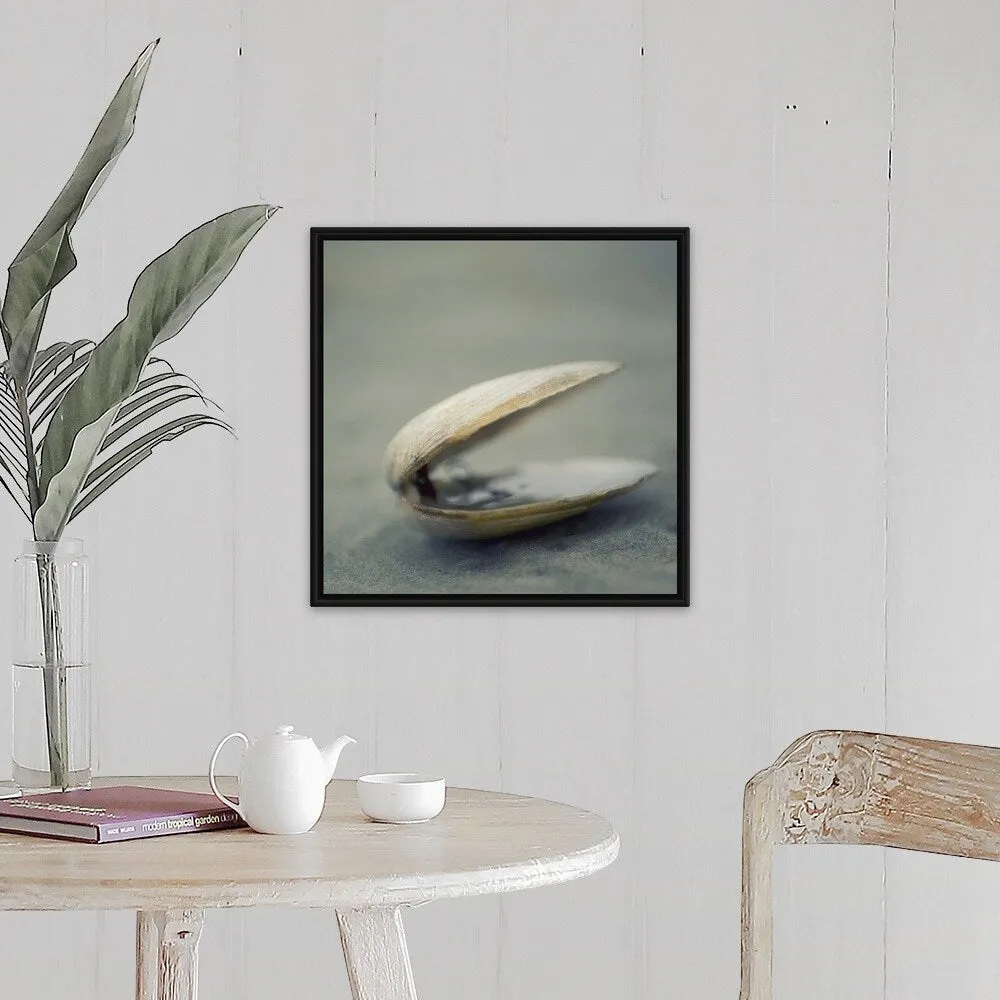"Clam shell on beach." Black Float Frame Canvas Art