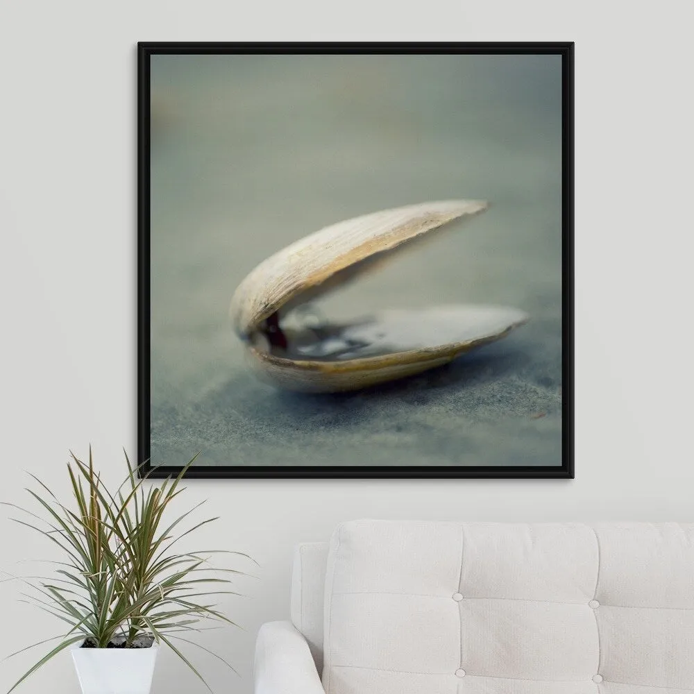 "Clam shell on beach." Black Float Frame Canvas Art