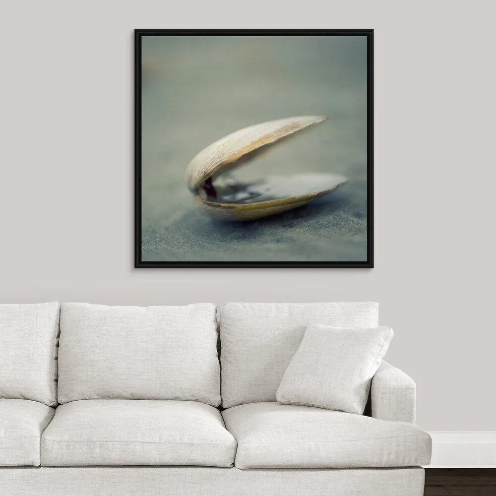 "Clam shell on beach." Black Float Frame Canvas Art