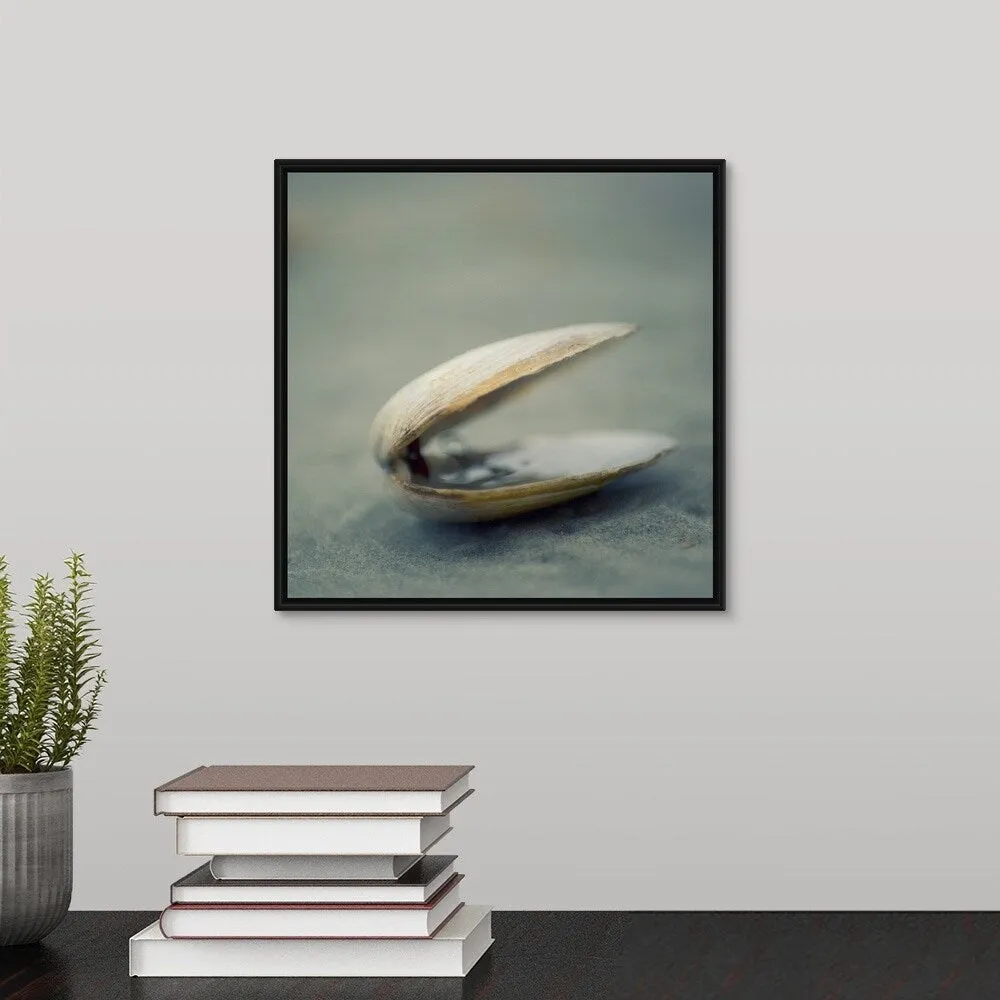 "Clam shell on beach." Black Float Frame Canvas Art