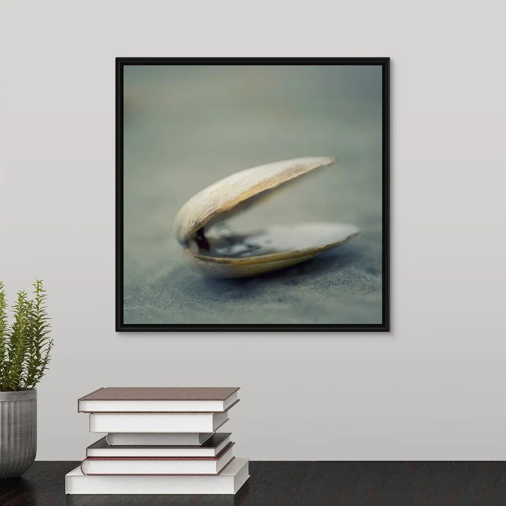 "Clam shell on beach." Black Float Frame Canvas Art
